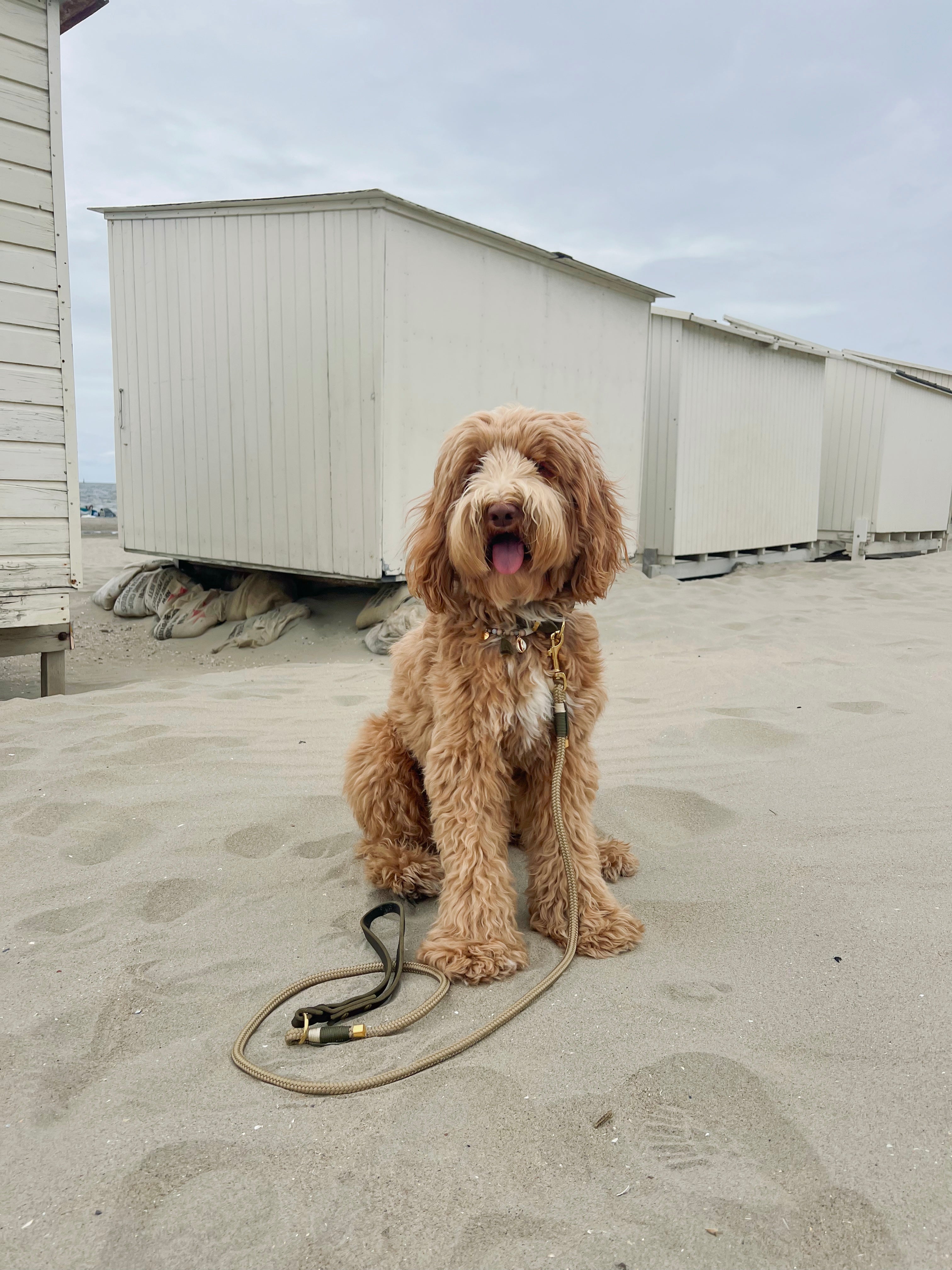 Gewone lijn met leren handvat