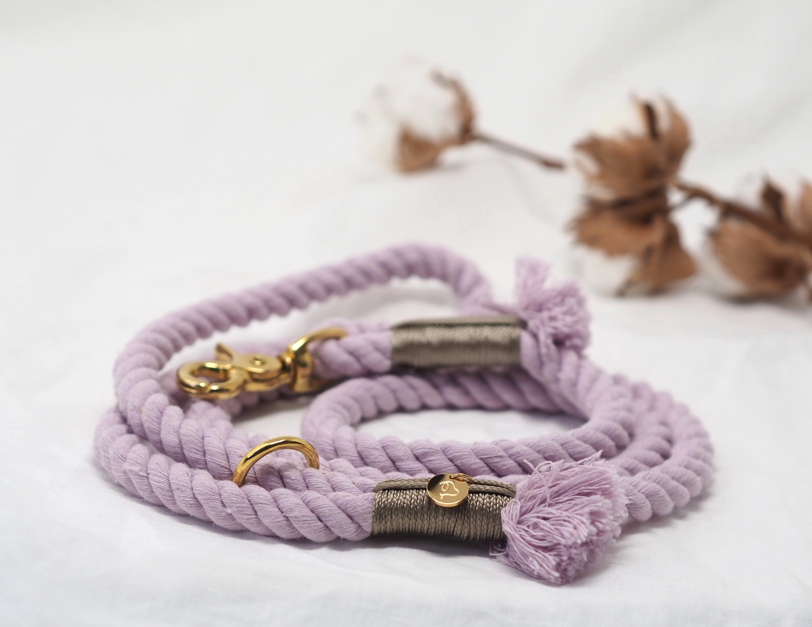 Cotton Dream - Gewone lijn