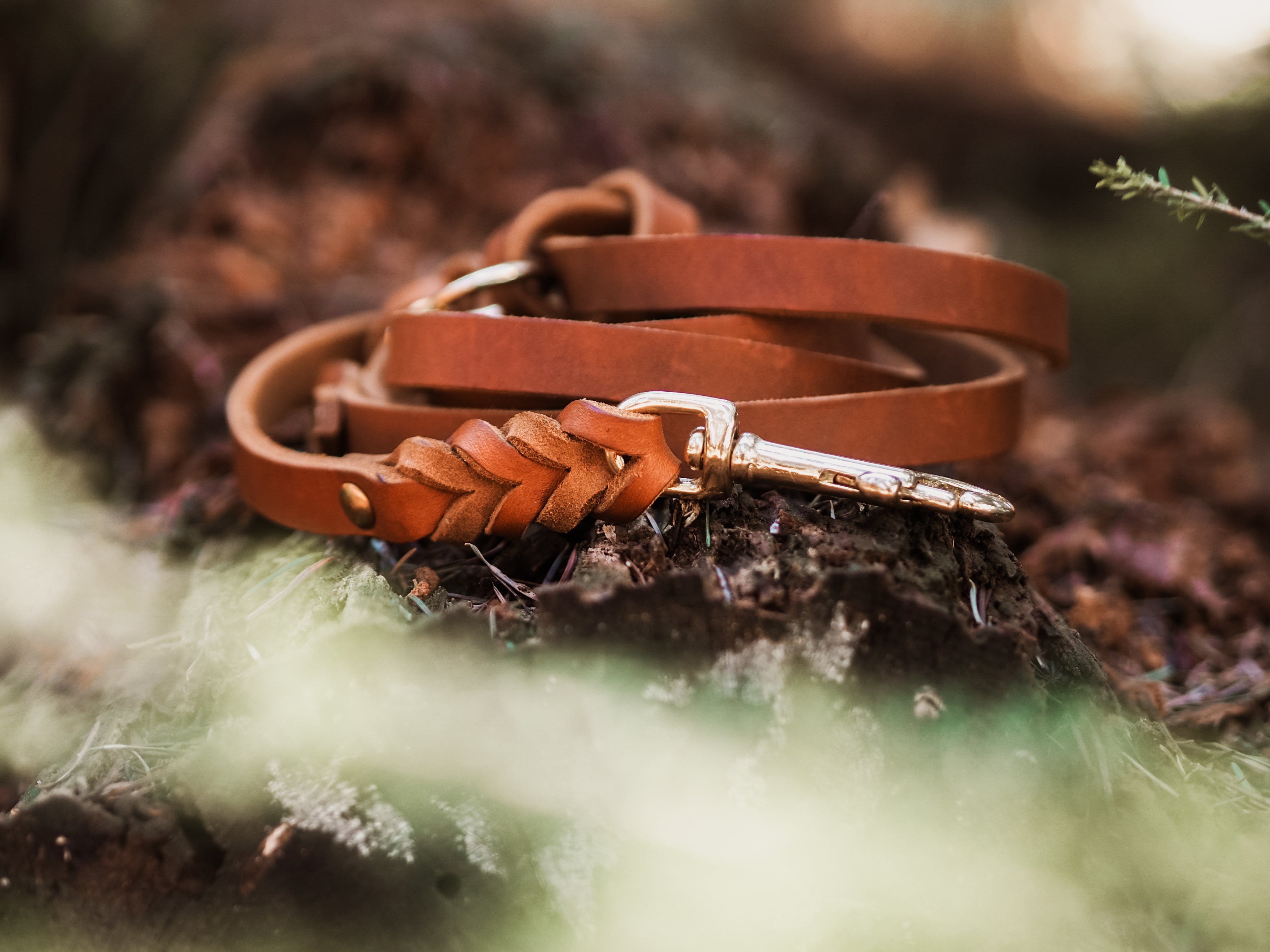 Verstelbare vetleer lijn