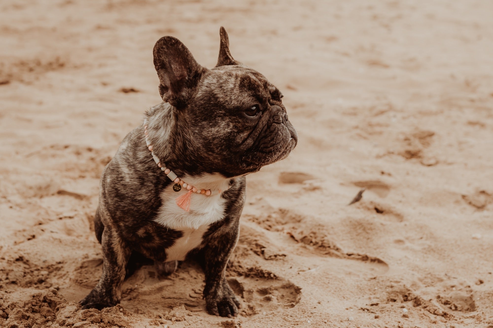 Verstelbaar no-tick bandje