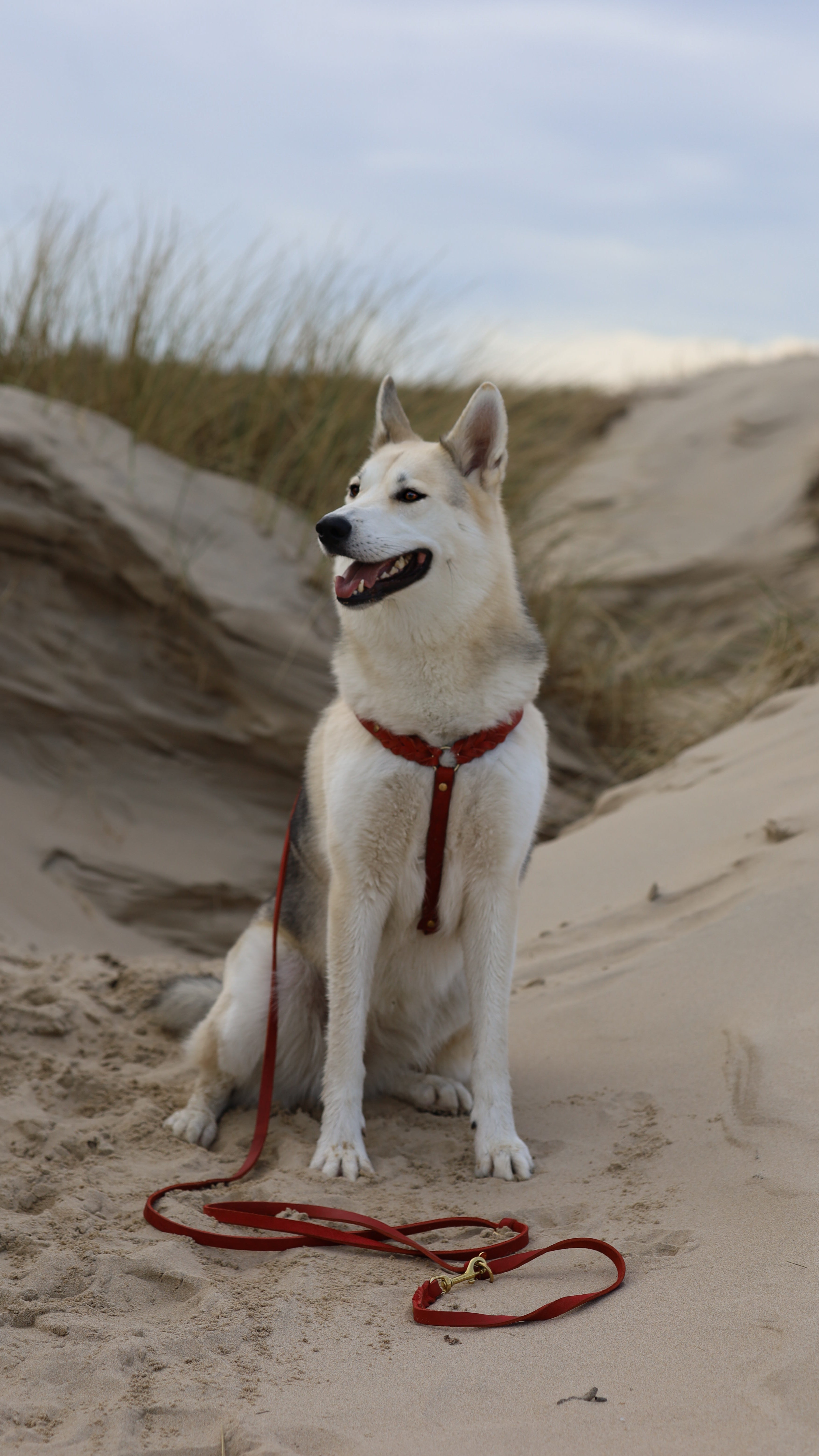 Verstelbare vetleer lijn